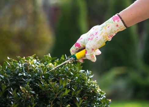Customer complaint review for gardening service