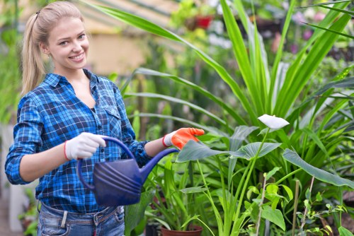 Gardeners Southgate improving a front garden