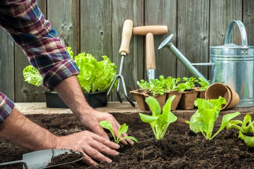 Gardeners Southgate introducing local garden care services