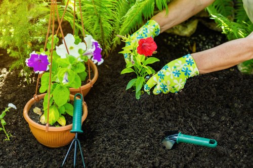 Sustainable garden recycling and waste separation in Southgate