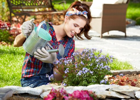 Aeration and overseeding for lawn care in Southgate