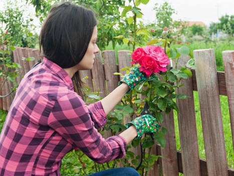 Final outcome discussion in a gardening complaints procedure