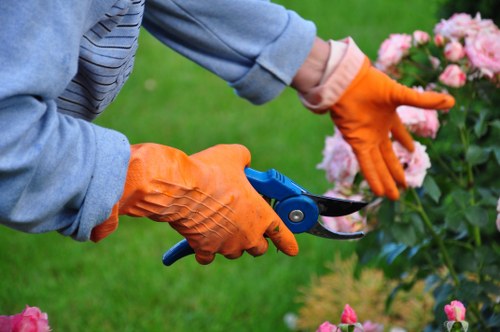 Garden waste and debris removal in Southgate