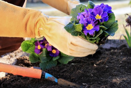 Garden maintenance in Southgate with a neatly trimmed lawn and tidy borders