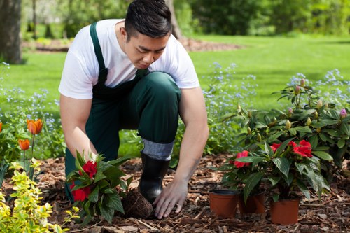Professional tree surgery equipment used for canopy care