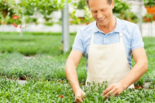 Seasonal garden upkeep in Southgate with planting and pruning