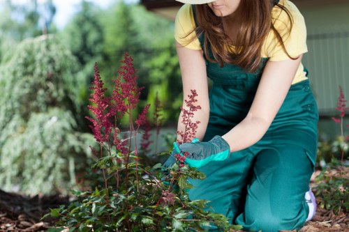 WCAG 2.1 AA focused gardening accessibility support in Southgate