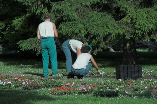Professional garden maintenance in Southgate showing hedge cutting and lawn care