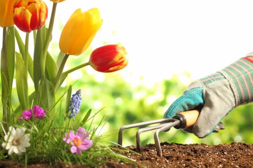 Southgate lawn care services including mowing fertilizing and weed control