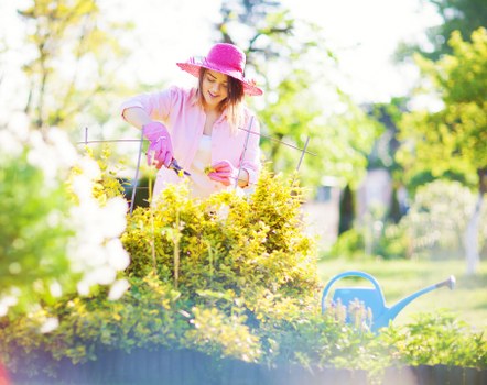 Professional lawn mowing in Southgate maintaining a suburban yard