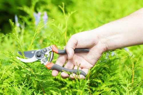 Low-carbon van used for sustainable gardening services