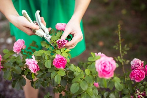 Seasonal garden maintenance completed by Gardeners Southgate