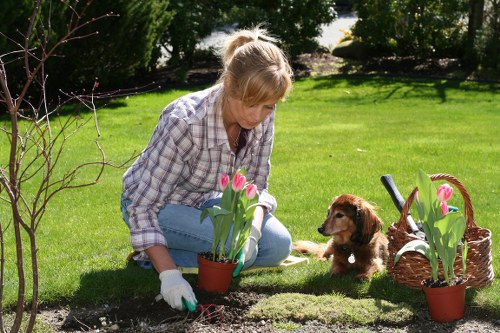 Legal governing law and contract terms for gardening services
