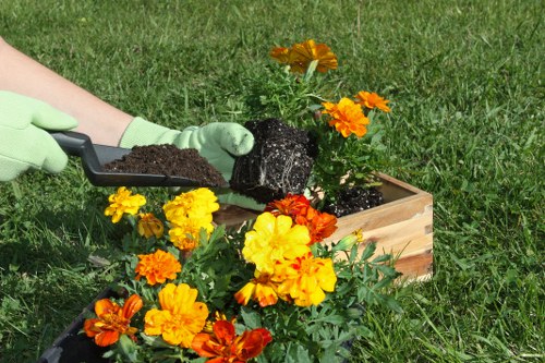 Garden maintenance in Southgate supporting healthy plants and attractive outdoor spaces