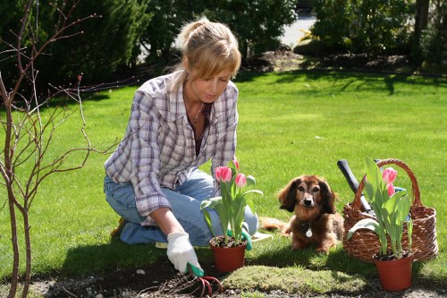 Seasonal planting ideas for landscaping in Southgate