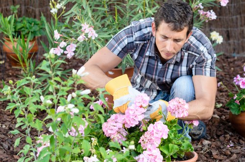 Healthy planting and lawn care by Southgate gardeners