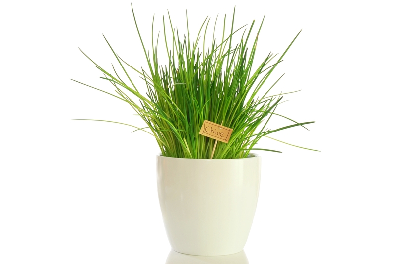 garden design professional gardeners